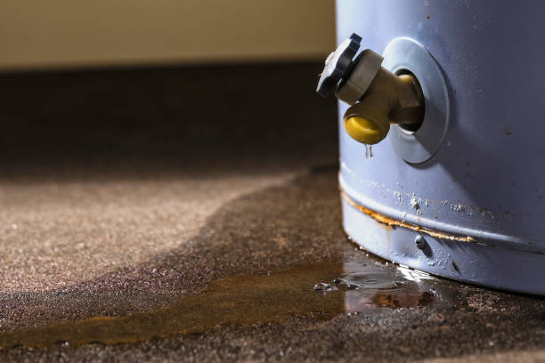 Best Water damage restoration near me  in Kittanning, PA