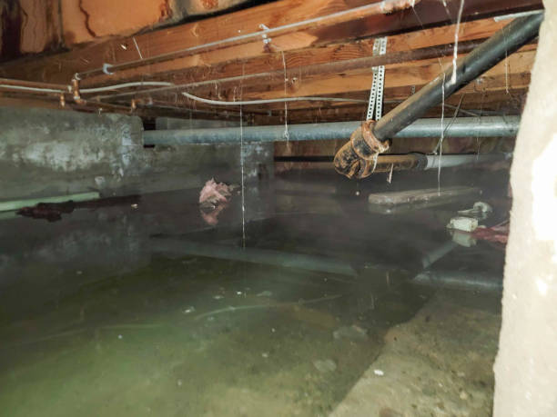 Best 24/7 water damage repair  in Kittanning, PA