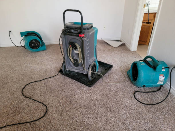 Best Local water damage restoration  in Kittanning, PA