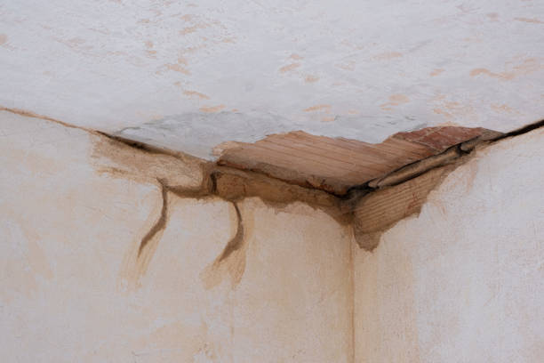  Kittanning, PA Water damage restoration Pros
