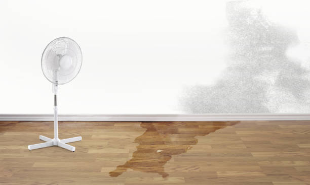 Best 24-hour water damage restoration  in Kittanning, PA