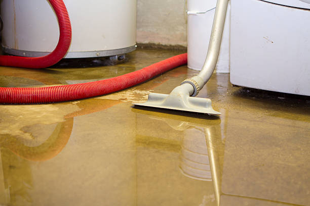 Best Emergency water extraction  in Kittanning, PA
