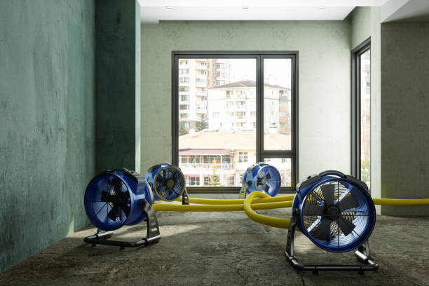Best Mold removal after water damage  in Kittanning, PA