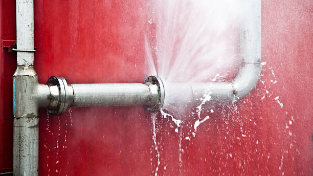 Best Basement water damage restoration  in Kittanning, PA